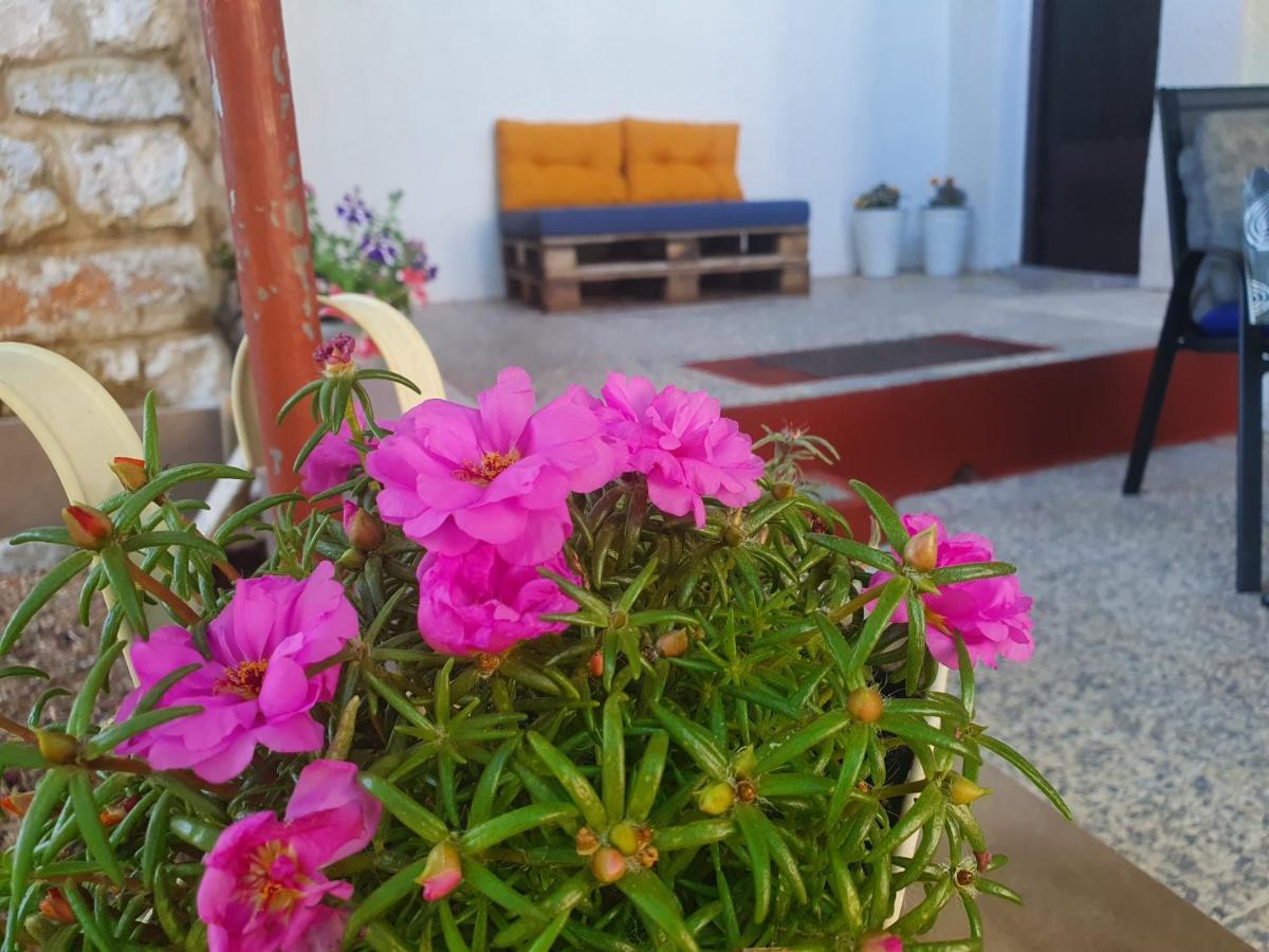 Apartman Bake Milke Senj  Exterior photo